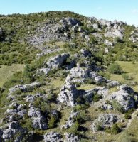 Les causses du Larzac